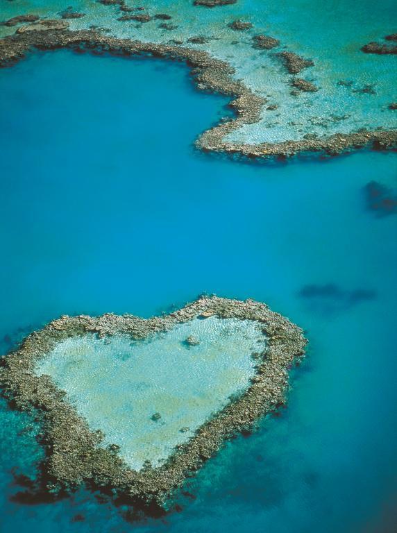 Aparthotel At Waterfront Whitsunday Retreat - Adults Only Airlie Beach Exterior foto